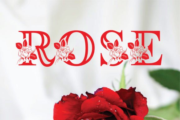 Rosera Monogram Font Review for Editorial Design